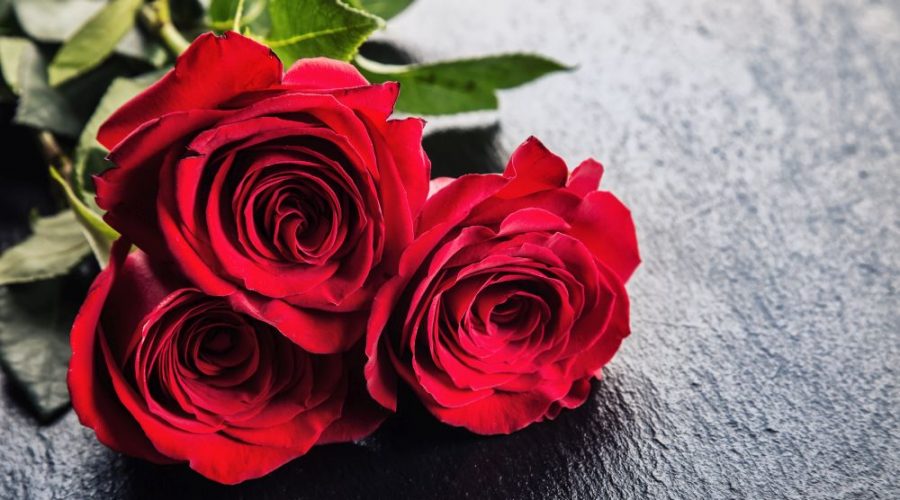 Ljubavne slike ruže